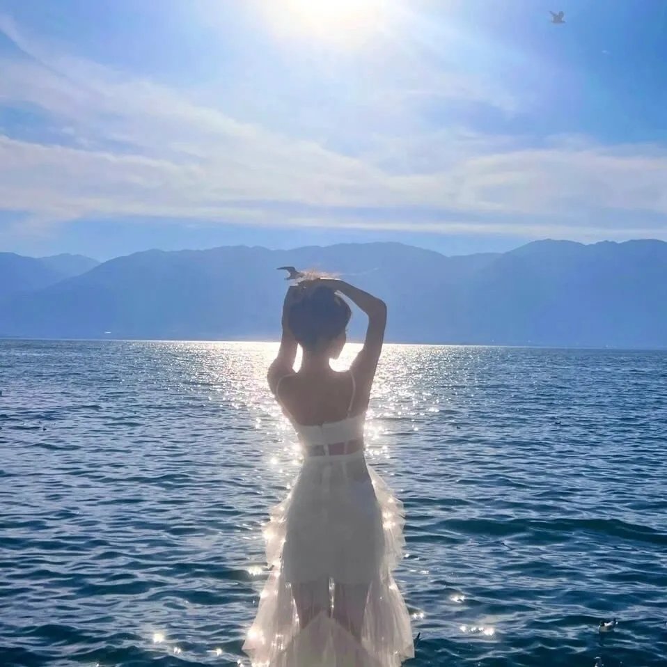 女主播风云 海报